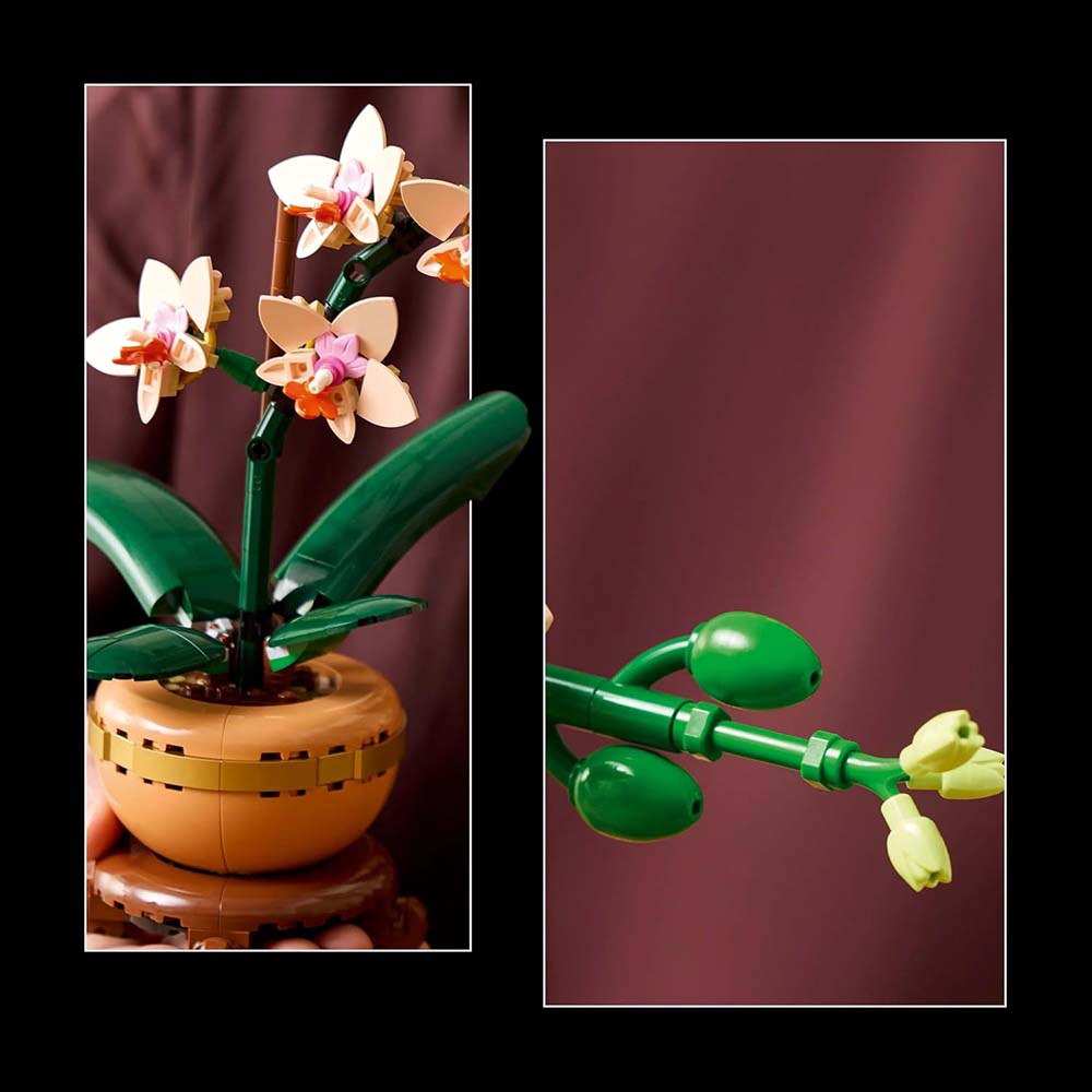 LEGO Botanicals Miniorquídea Set de Construcción 10343, sets de construcción