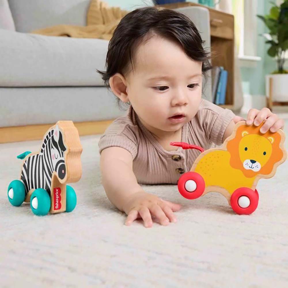 Fisher-Price Juguete para Bebés Animalitos Camina Conmigo JFN19 - Edad 9 meses+