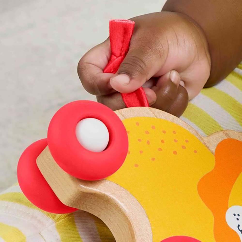 Fisher-Price Juguete para Bebés Animalitos Camina Conmigo JFN19 - Edad 9 meses+
