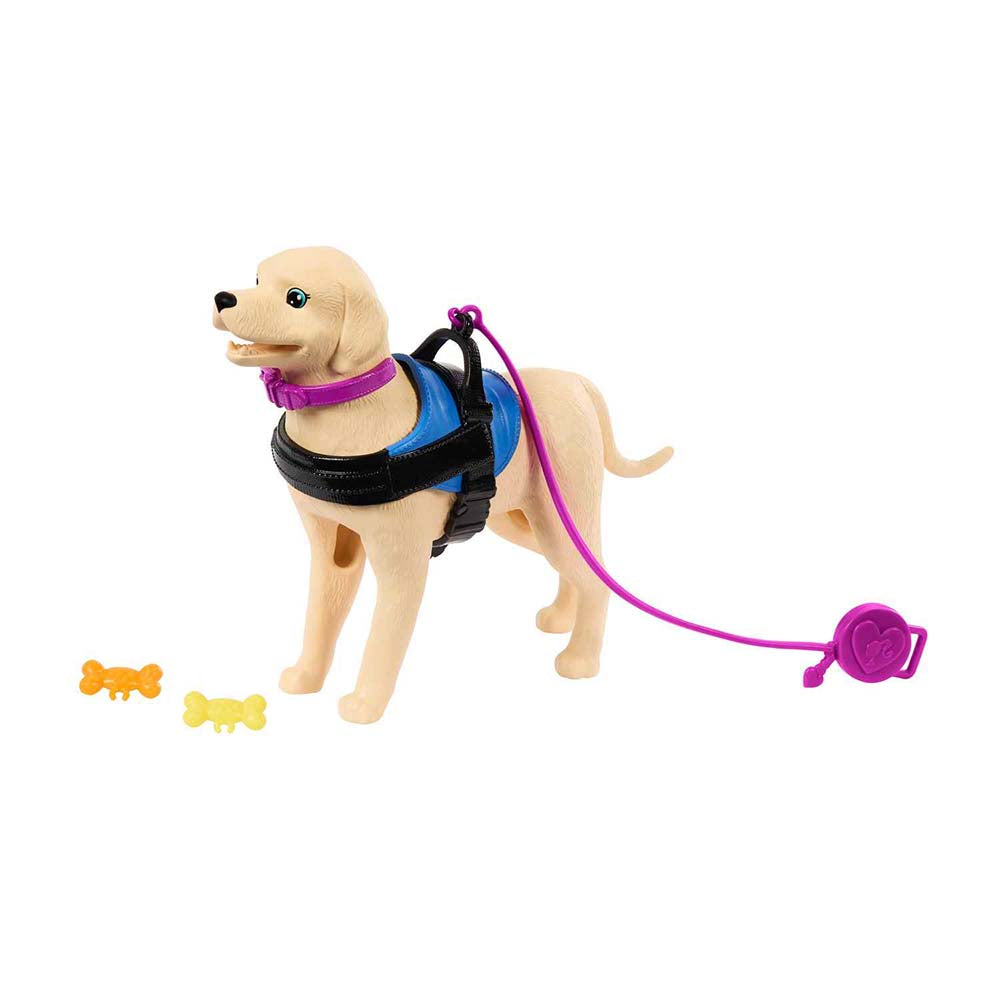 Barbie Muñeca en Silla de Ruedas con Perro de Servicio HJY85 - Edad 3+
