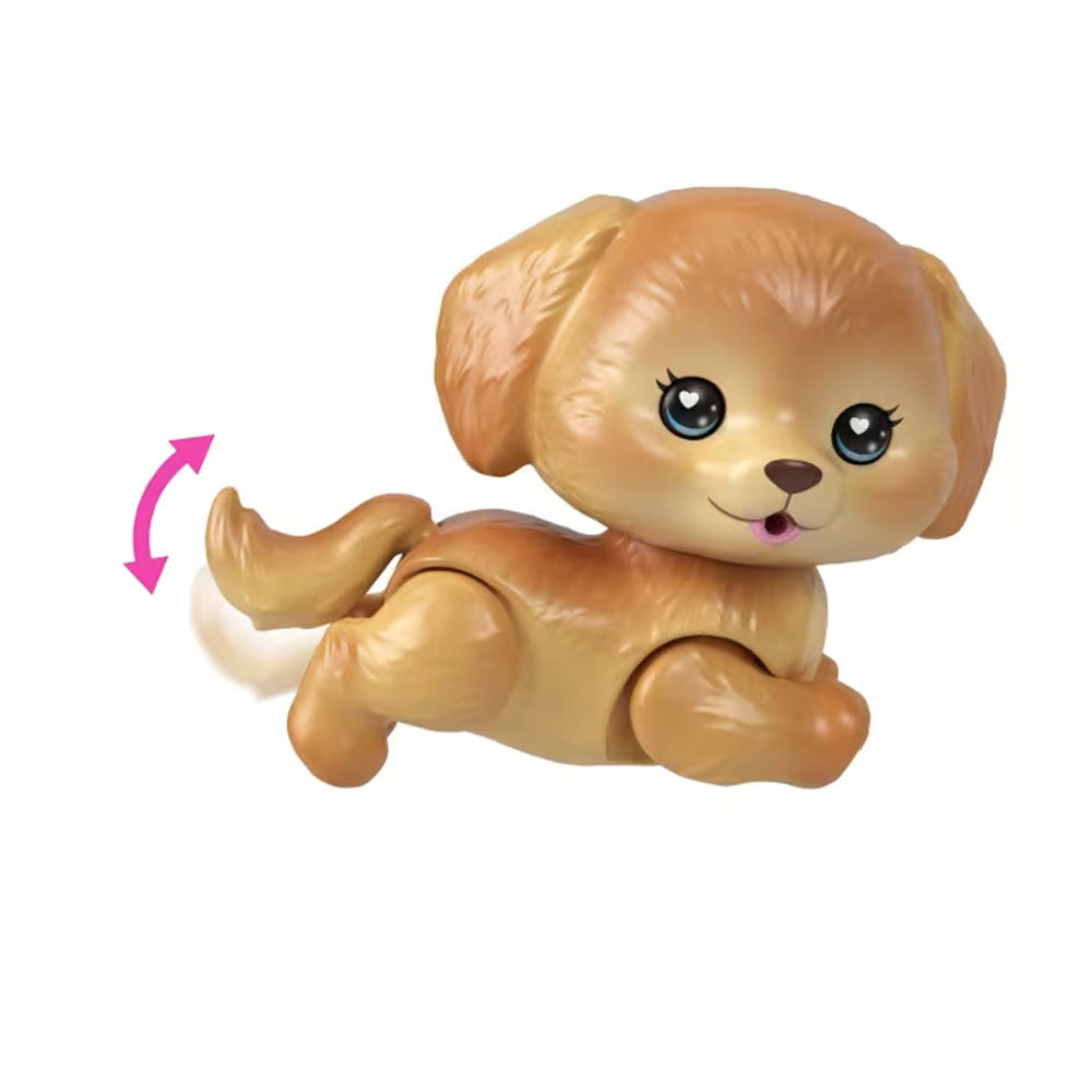 Barbie Dream Squad Pet Puppy And Pool, muñecas y muñecos
