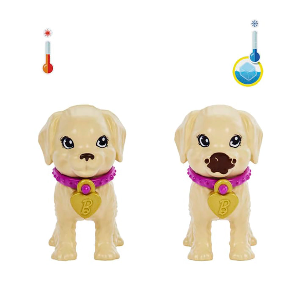 Barbie Adopta un Perrito la Tina HKD86: Set de juego - Edad 3+