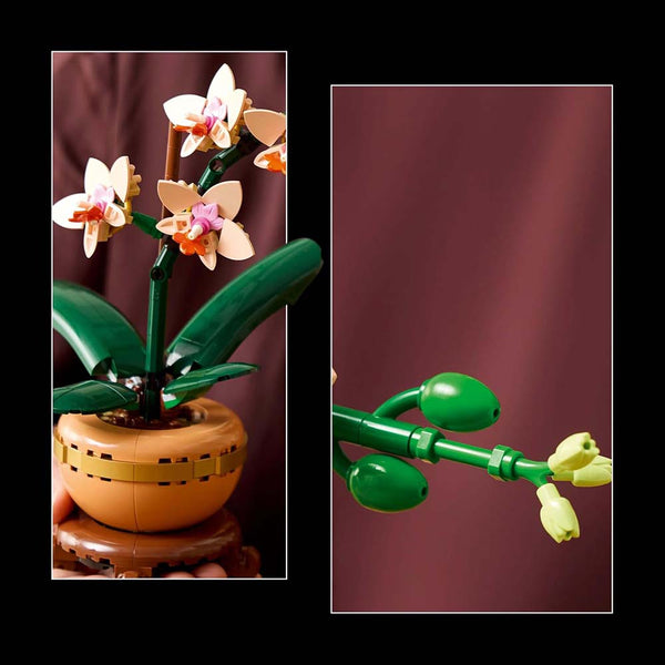 LEGO® Botanicals Miniorquídea Set de Construcción 10343