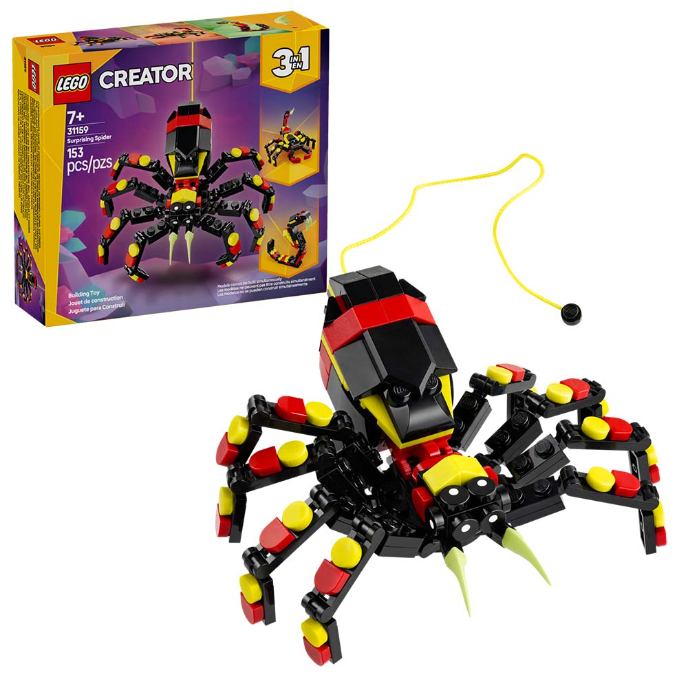 Fauna Salvaje: Araña Misteriosa 31159