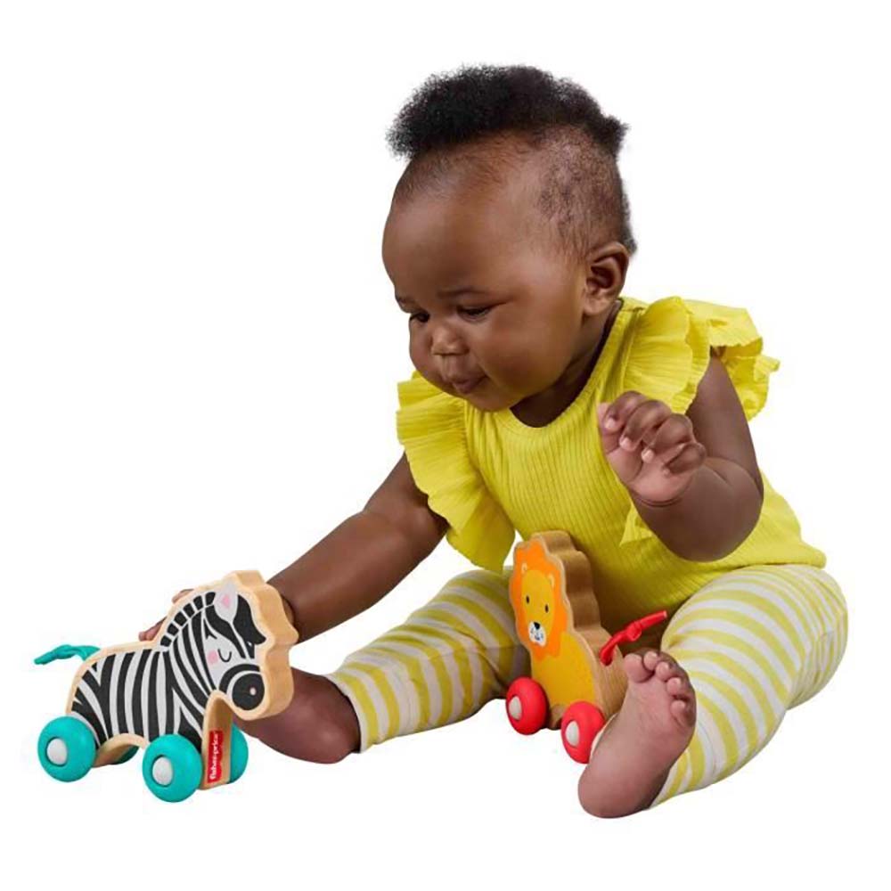 Fisher-Price Juguete para Bebés Animalitos Camina Conmigo JFN19 - Edad 9 meses+