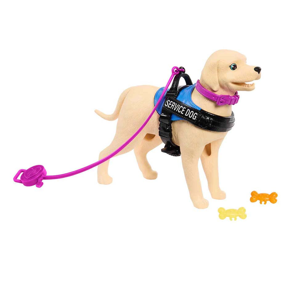 Barbie Muñeca en Silla de Ruedas con Perro de Servicio HJY85 - Edad 3+