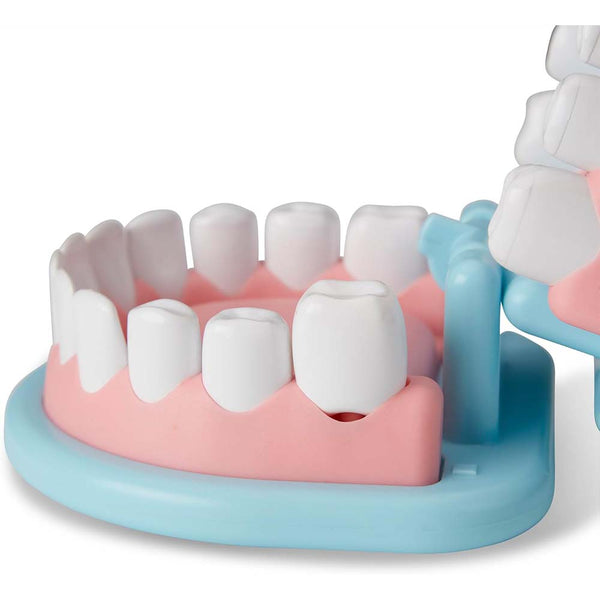 Melissa & Doug Juego de Imitación de Dentadura y Accesorios Dentales 6074886