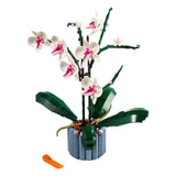 Orquidea 10311