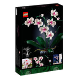 Orquidea 10311