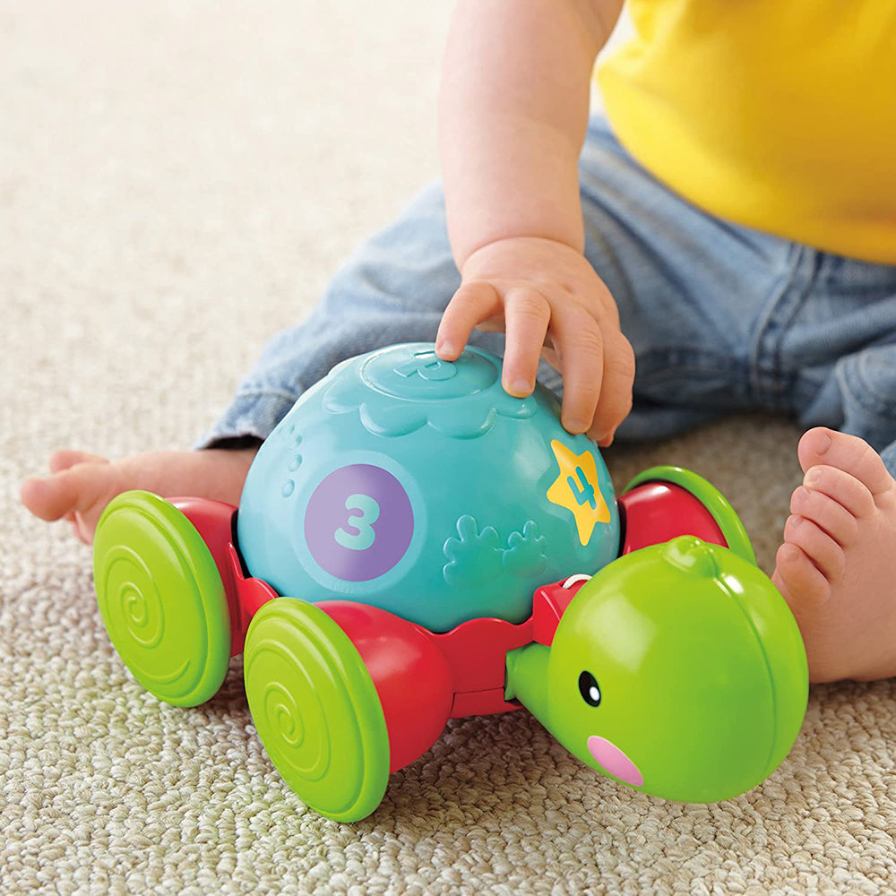 FP TORTUGA DE APRENDIZAJE – Juguetibici eCommerce