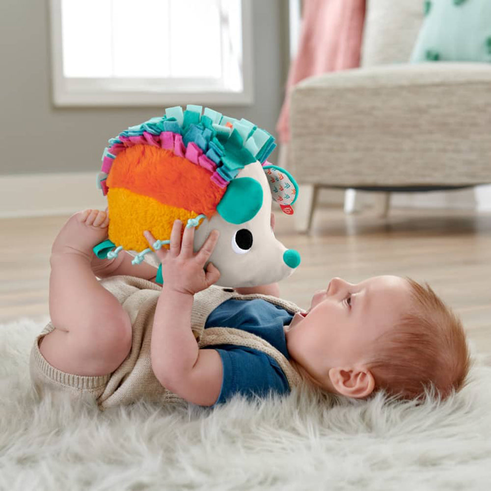 Fisher Price Erizo Estímulos y Juego HBP42 - Desde nacimiento